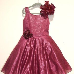Girls Red Wine Color Dress